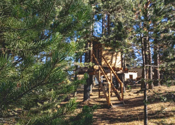 Villa амрита Tsigov Chark